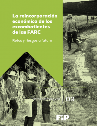 La reincorporación económica de los excombatientes