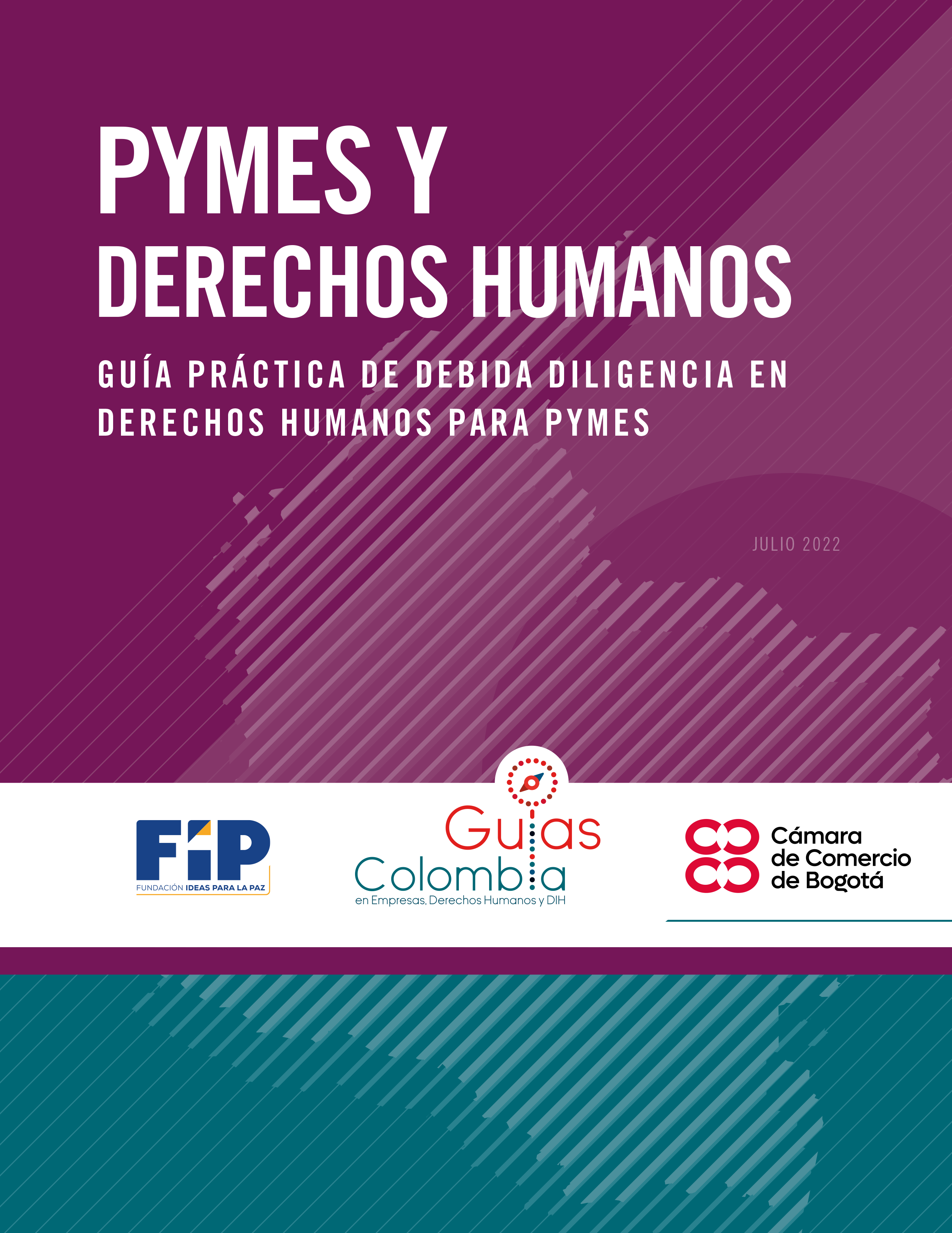 Guía Práctica de Debida Diligencia Empresarial en Derechos Humanos para pymes
