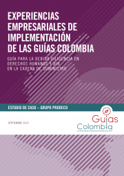 Experiencias empresariales de implementación de las Guías Colombia - Prodeco